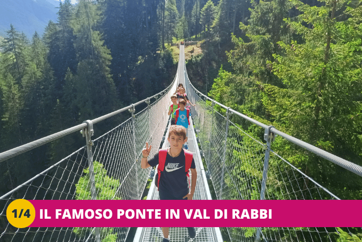 1_4 A caccia di emozioni verso le vette delle Dolomiti