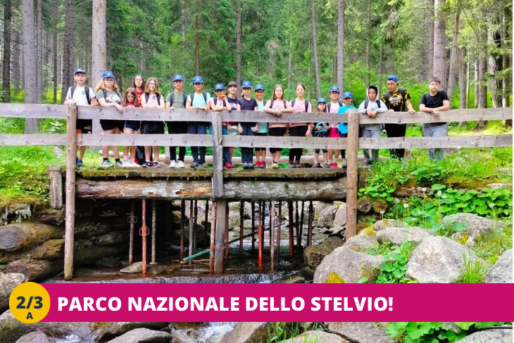 2_3A Trentino Wild_ all'avventuraaa! + Rafting e parco avventura TURNO SETTIMANALE