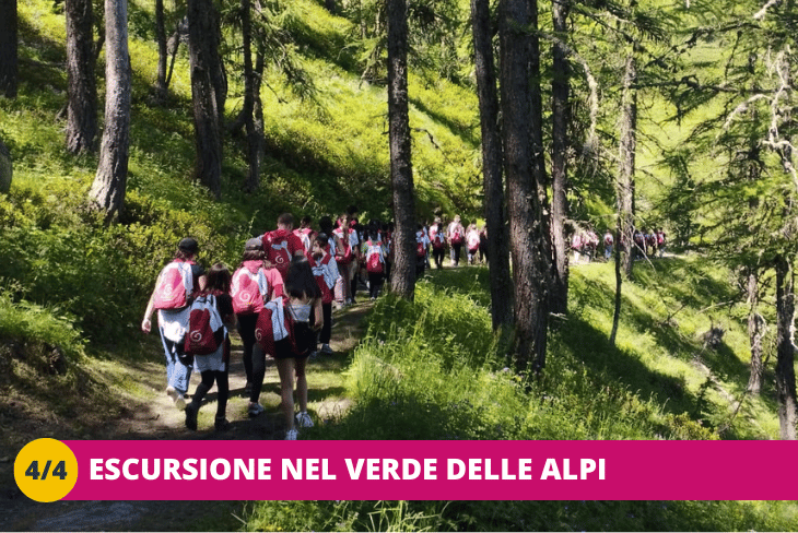 4_4 Sentieri, natura e trekking tra le Alpi piemontesi + Torino