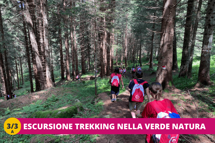 3_3A-Trentino-Wild_-allavventuraaa-Rafting-e-parco-avventura-TURNO-SETTIMANALE-1