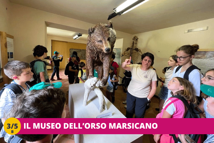 3_5B A CAVALLO NEL PARCO NAZIONALE D'ABRUZZO TURNO SETTIMANALE