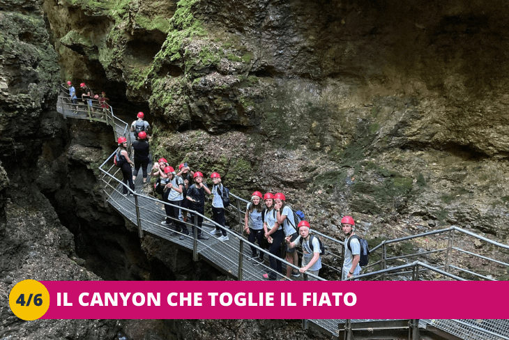 4_6-TRENTINO-WILD_-ALLAVVENTURA-RAFTING-E-PARCO-AVVENTURA-1